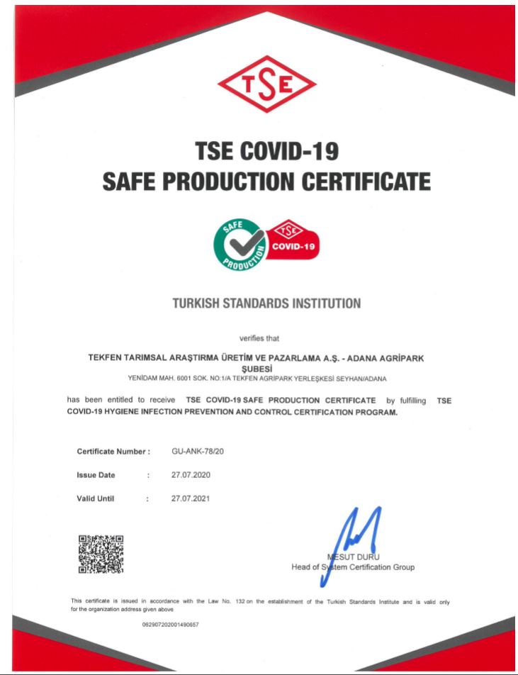TSE-Covid-19-Güvenli-Üretim-Belgesi-ENG.pdf