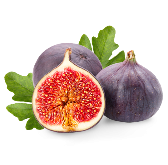 Bursa Black Fig