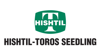  Hishtil -Toros Seedling 