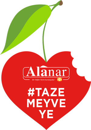 tazemeyve logo